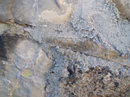coolross 2210.jpg